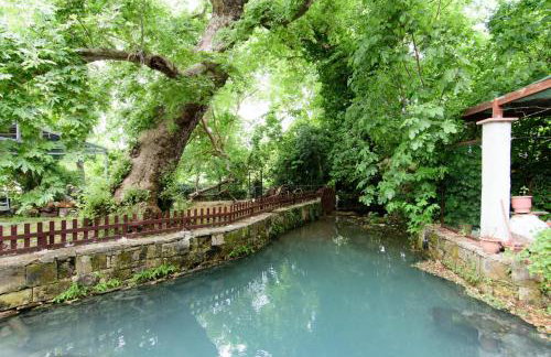 Diogenis Residence Euphoria - Foto 69