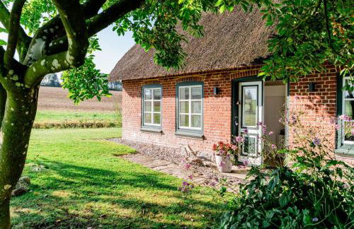 Ferienwohnung Teve - ebenerdig unter Reet & hyggelig mit Kamin - Foto 1
