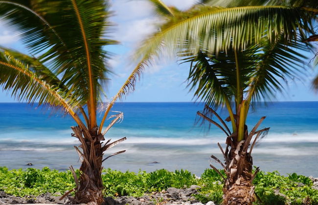 The Passage Villas - Photo 40