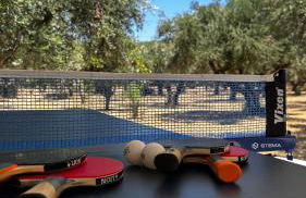 Elaiocampus luxury house - Foto 16