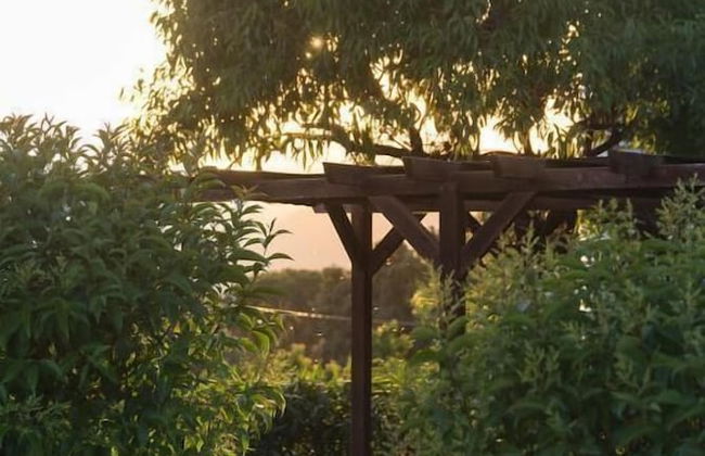 Can Gual Casa Rural - Photo 33