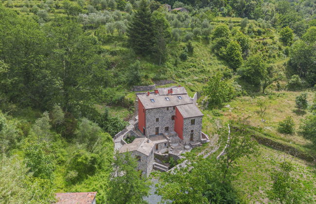 Ciliegiolo - Foto 28