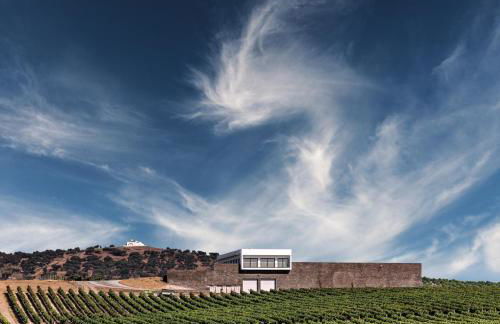 Burrico D`Orada - Rural Stays & Wine Country Tours - Foto 80