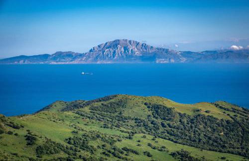 2060-Newly furnished 2 bedrooms apt with golf - Photo 46