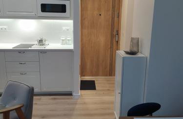 Apartament FANABERIA Lądek Zdrój - Foto 9