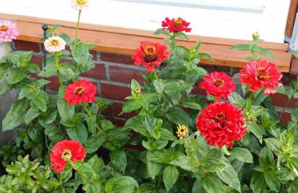 Ferienhaus Storchenweg - Foto 34