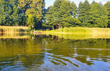 Cisowa Ostoja - Foto 31