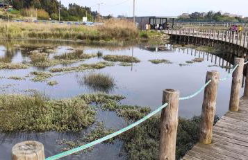 Wherry Green Guest House (PRAIA DA BARRA)❤️ - Foto 46