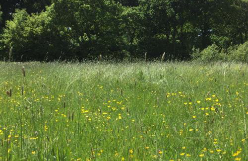 Tiny Home cabin Eilidh - Foto 5