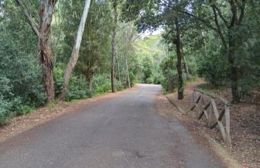 Luminoso Appartamento con Terrazza......C.U......Q2483 - Foto 16