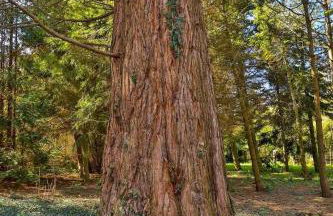 Ferienwohnung Zickersche Berge - Foto 26