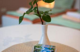 Top-moderne Ferienwohnung und Apartments auf früherem wunderschönen Bauernhof im Elbe-Elster-Kreis in Brandenburg bei Herzberg-Elster, Schönewalde, Holzdorf - Foto 43