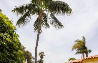 Balcón del Teide - Foto 48