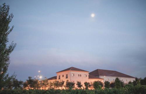 Hotel de Bodegas Hacienda Albae - Photo 68