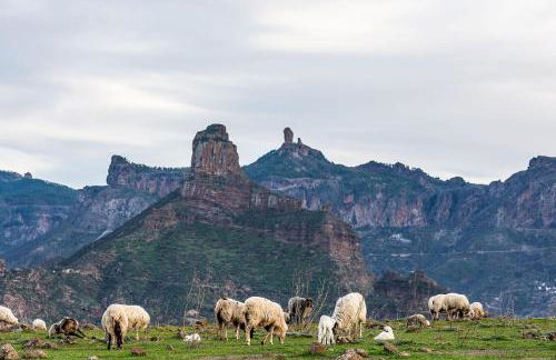 Sea View Villa Vista Golf - Foto 43