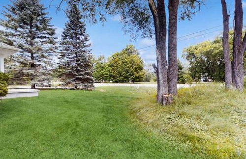 MI Blue Mallard - Foto 23