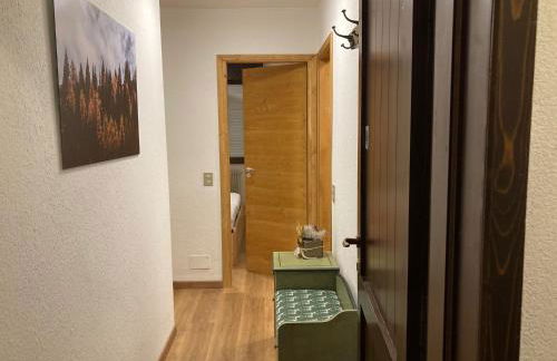 La Casina sul Brenta - Madonna di Campiglio - Foto 10