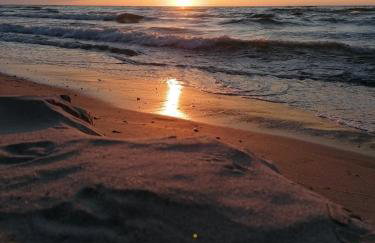 Zalotna Mewa Gąski - Photo 42