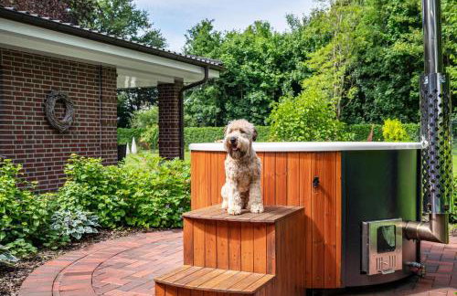 Ferienwohnung am Kronsberg - Photo 24