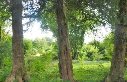 Holiday Home in Huelgoat near Monts d'Arrée - Foto 24