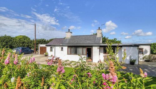 Pant Y Corn - Foto 2