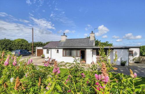 Pant Y Corn - Foto 2