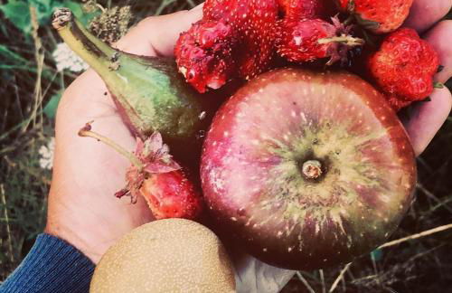 Dernier Ecolodge avant NewYork - Foto 33