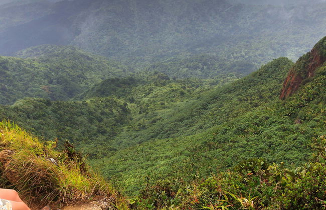 Forêt nationale d'El Yunque + Baies bioluminescentes - Photo 3
