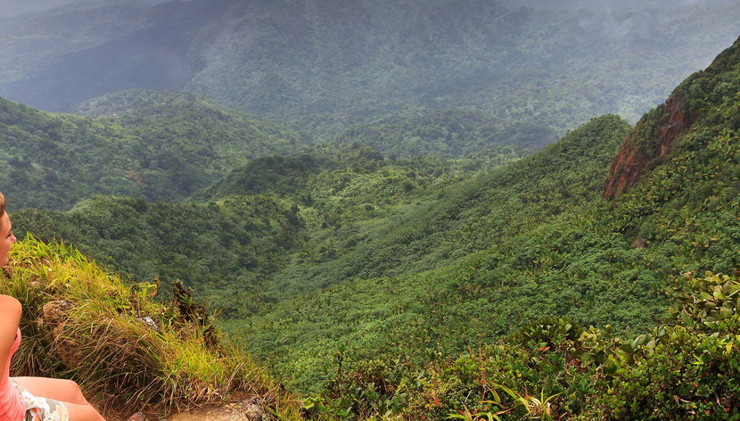Bosque Nacional El Yunque + Bahías bioluminiscentes