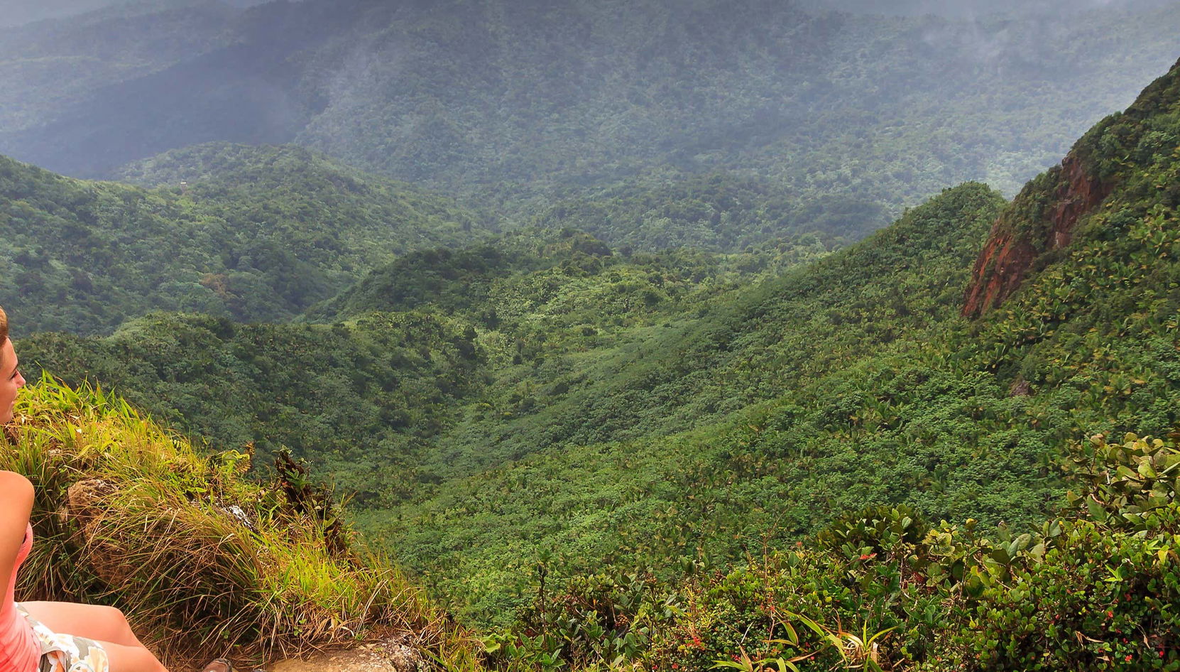 Bosque Nacional El Yunque + Bahías bioluminiscentes