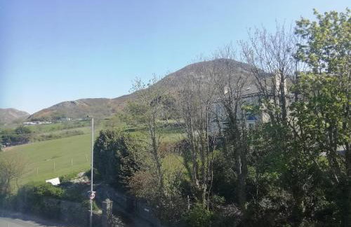 Llys Madoc, The Top Flat - Foto 26