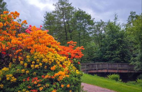 Villa Zwölf - Foto 51