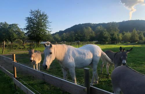 Gîte Les Aubennes - Foto 14