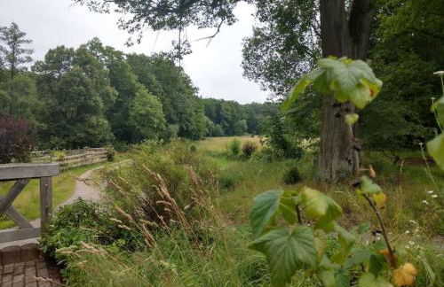 Wald-Apartment - Foto 34