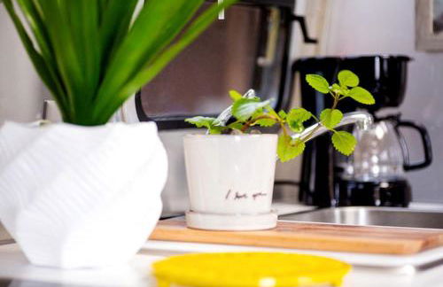 Beautiful Airstream Glamping Site for Romantic Weekends Away in North Carolina - Photo 14