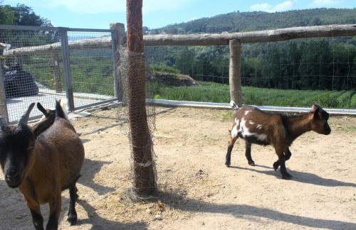 Quinta dos Lagos - Foto 51