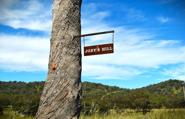 Little House in the Nursery - Foto 1