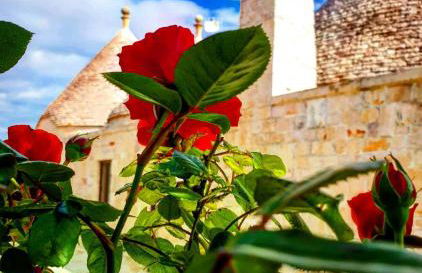 Trulli Pax Animi - Foto 72