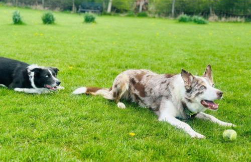 1 Bed in Carnforth oc-90528 - Photo 17