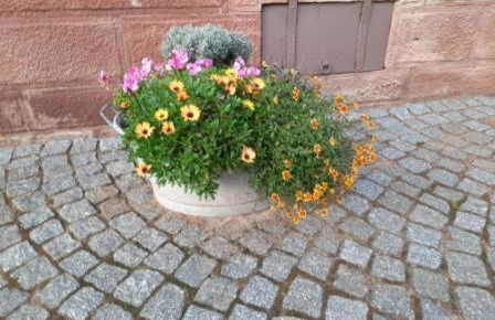 Bauernhaus Schunck im Bliesgau - Foto 20