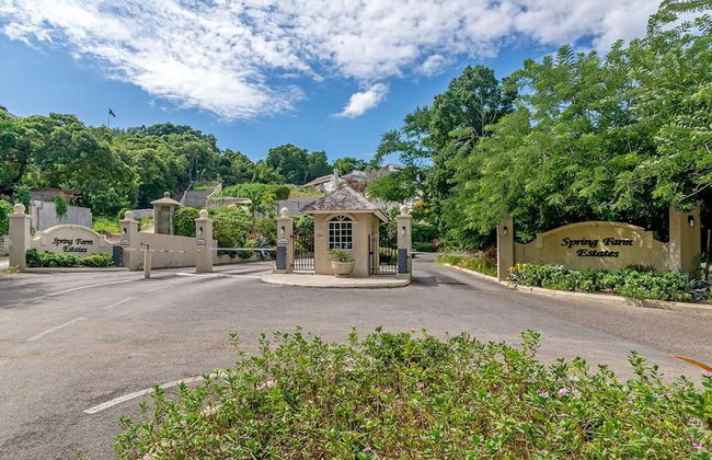 Nianna Luxurious Villa - Foto 49