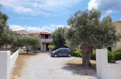 Studio Popi - Foto 14