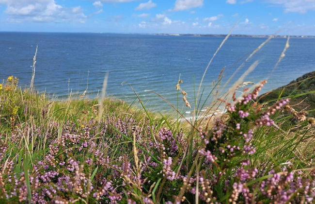 4 Person Holiday Home in Struer - Photo 14