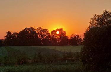 Siedlisko Kaczory - Foto 28