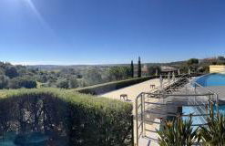 Paraiso vale da ribeira - Foto 5