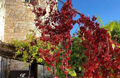 Coté-Serein La Privilège de la Tour Madame - Foto 22