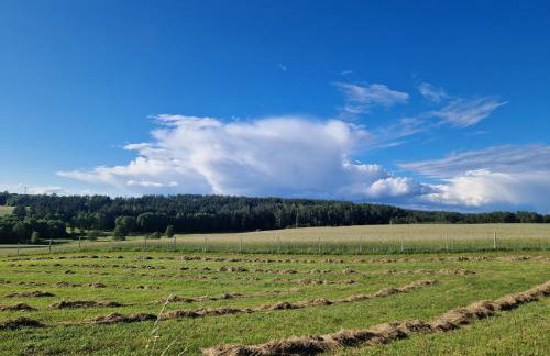 Domek Konrad - balia ogrodowa dodatkowo płatna - Foto 65