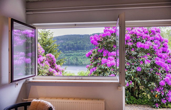 Titisee Haus an der Sonne by Kuckucksnester - Foto 71