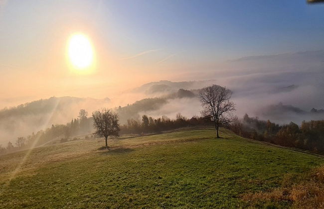 Villa Melani - Foto 38