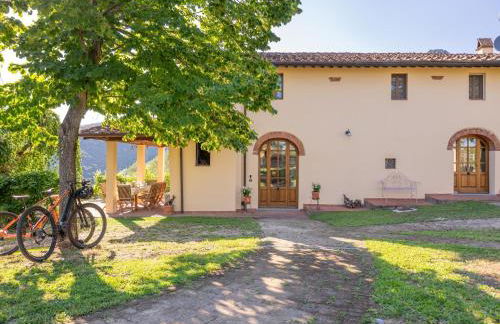 Villa in Tuscany with Pool and Olive Grove - Photo 12